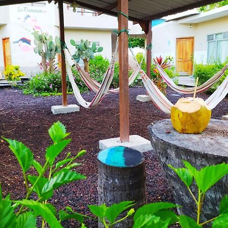 Hostal Los Flamencos Puerto Villamil Exteriör bild